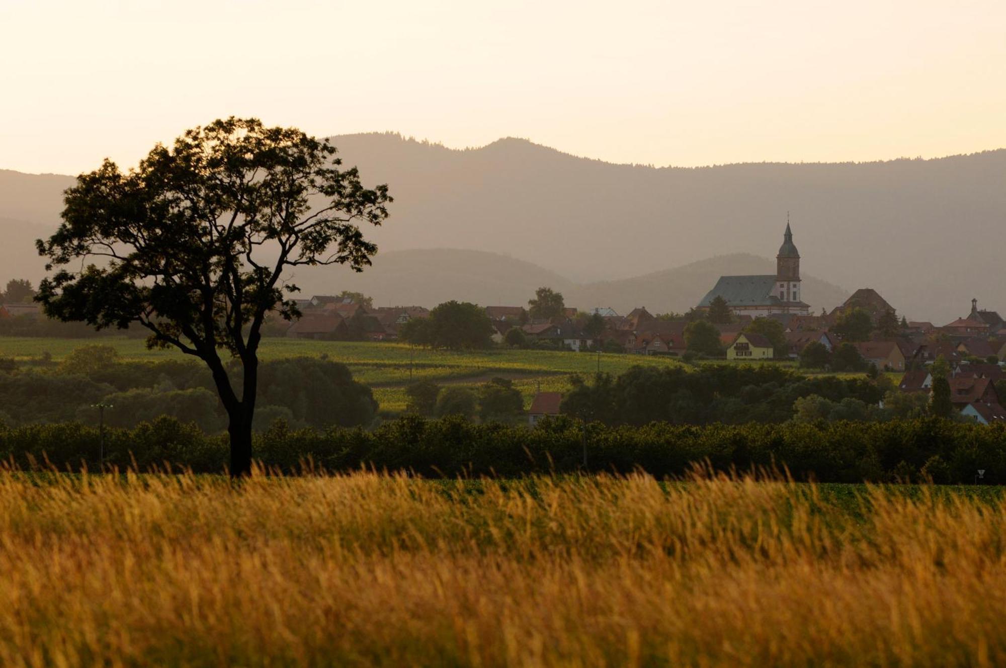 Gite Elouann Familial Spacieux Calme Ebersheim エクステリア 写真